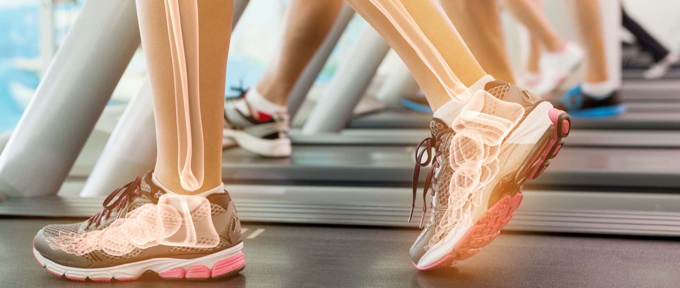 Impacto de la Anticoncepción Hormonal en el Hueso: Estrategias para la Prevención de la Pérdida Ósea desde la Adolescencia hasta la Menopausia